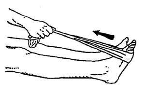 back stretch: calf and hamstring stretch