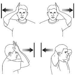 neck stretch and exercises