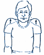 Image result for neck stretches