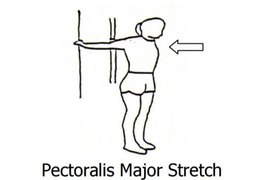 chest stretches