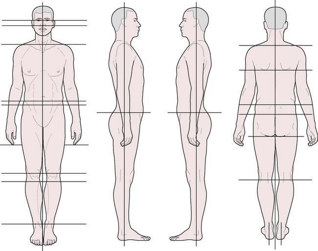 postural analysis 