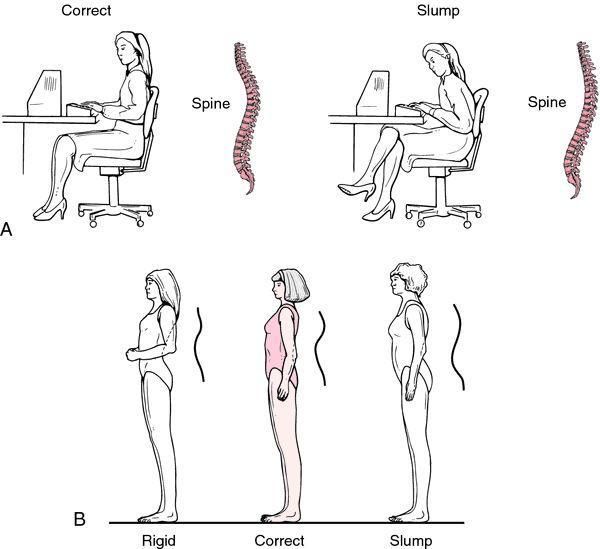 sitting Ergonomics 