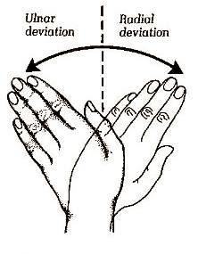 exercise for wrist pain 