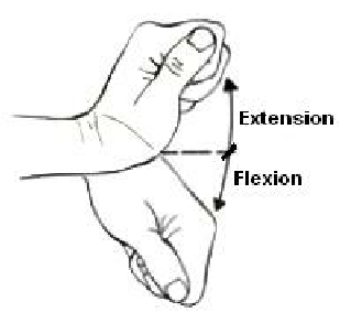 exercise for wrist pain 