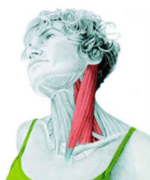 neck stretch for Cervical disc herniation.