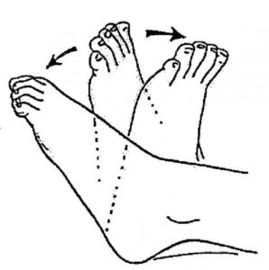 Pregnancy exercises