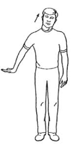 Radial nerve stretch