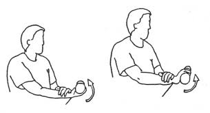 Radial nerve compression