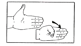 skier's thumb
