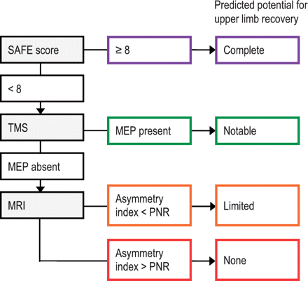 stroke recovery